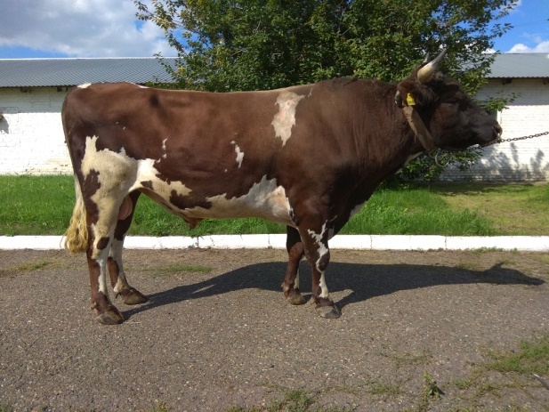 ТИДЖЕЙ 28526 КСКП-192